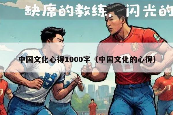 中国文化心得1000字（中国文化的心得）