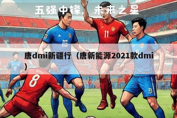 唐dmi新疆行（唐新能源2021款dmi）