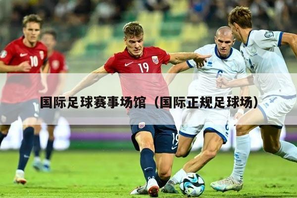 国际足球赛事场馆（国际正规足球场）