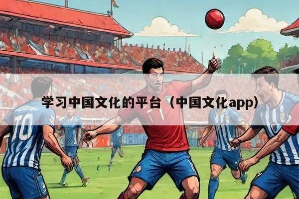 学习中国文化的平台（中国文化app）