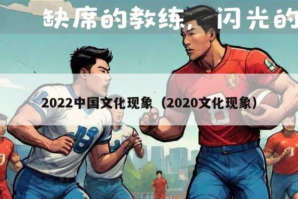 2022中国文化现象（2020文化现象）