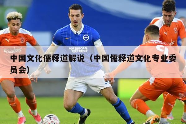 中国文化儒释道解说（中国儒释道文化专业委员会）