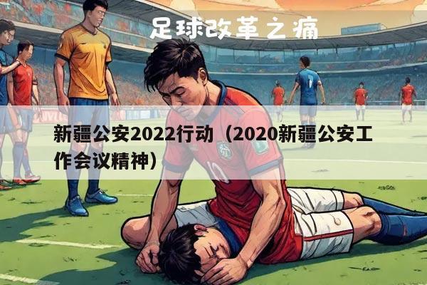 新疆公安2022行动（2020新疆公安工作会议精神）