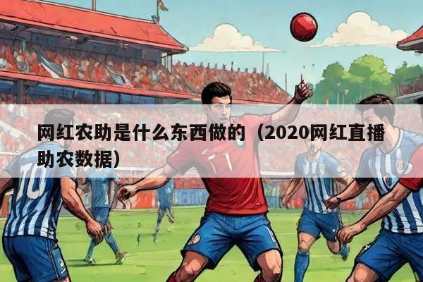 网红农助是什么东西做的（2020网红直播助农数据）