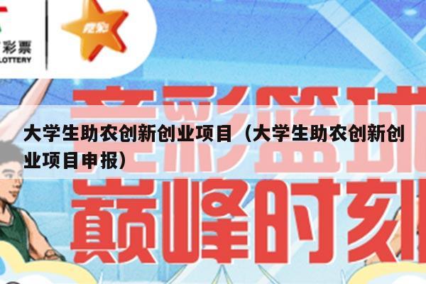 大学生助农创新创业项目（大学生助农创新创业项目申报）