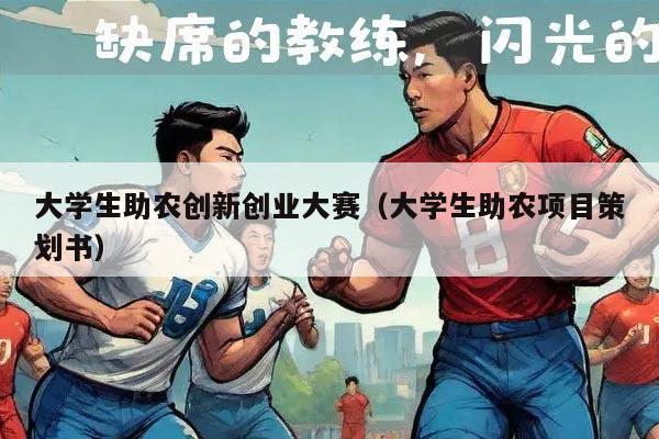 大学生助农创新创业大赛（大学生助农项目策划书）