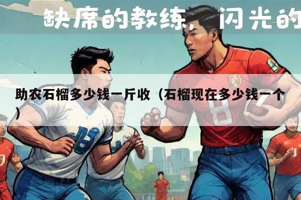 助农石榴多少钱一斤收（石榴现在多少钱一个）