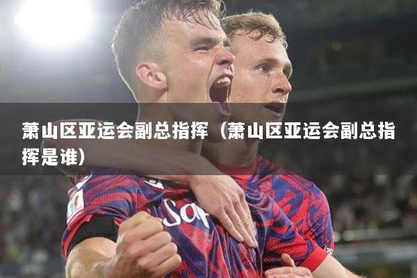 萧山区亚运会副总指挥（萧山区亚运会副总指挥是谁）