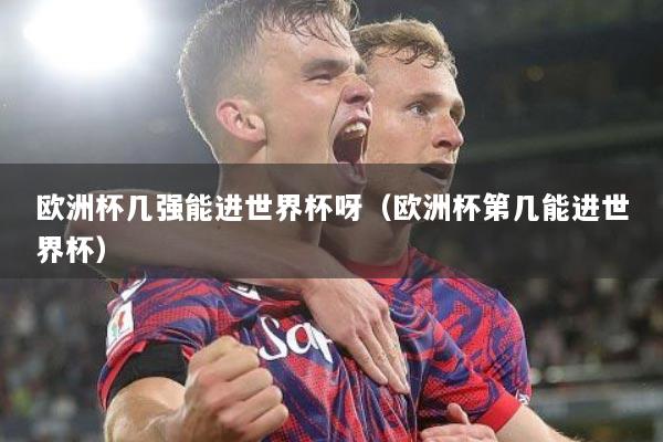 欧洲杯几强能进世界杯呀（欧洲杯第几能进世界杯）