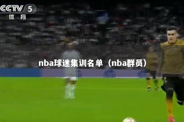 nba球迷集训名单（nba群员）