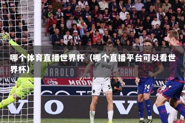 哪个体育直播世界杯（哪个直播平台可以看世界杯）